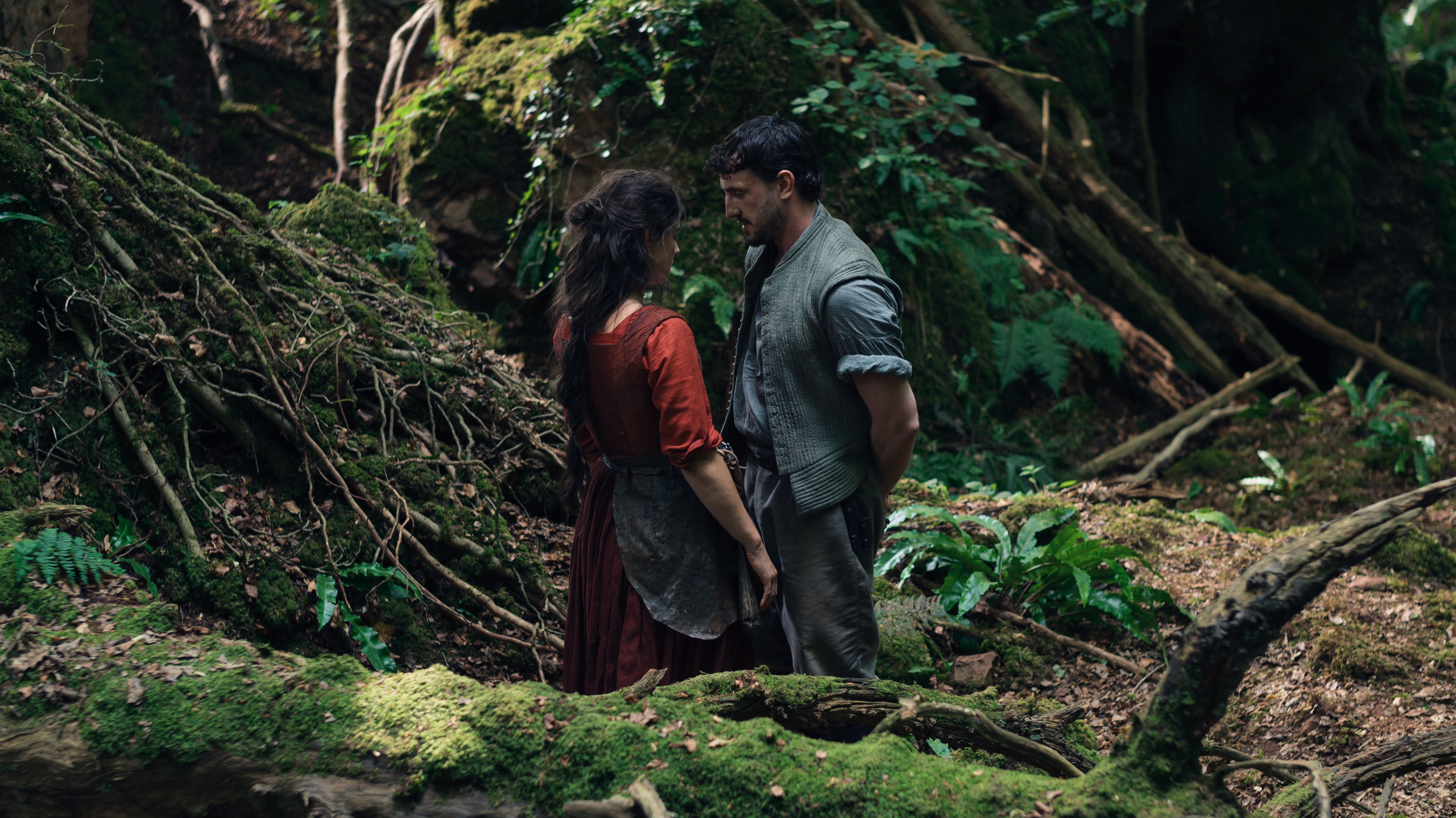 A still taken from Hamnet. Actors Jessie Buckley and Paul Mescal stand close together in a woodland landscape.